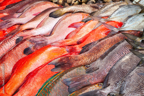 Colorful fresh fish assortment, Malaysia