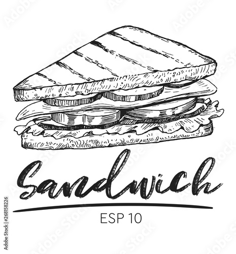 Sketch of sandwich. Hand drawn illustration converted to vector