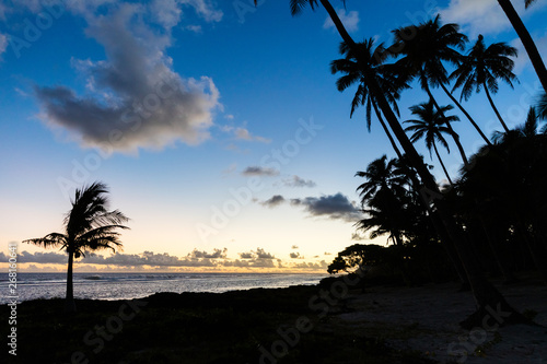 Palm trees during sunset on tropical island with white sandy beach and black rocks