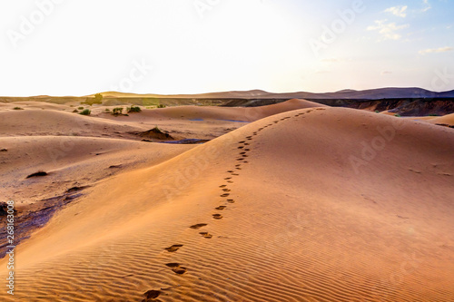 Foot prints along a sand dune in the Sahara Desert