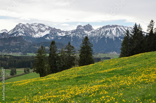 Frühlingslandschaft im Alllgäu © traveldia