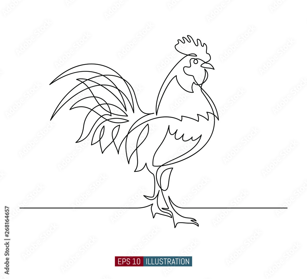 Continuous line drawing of rooster. Template for your design works