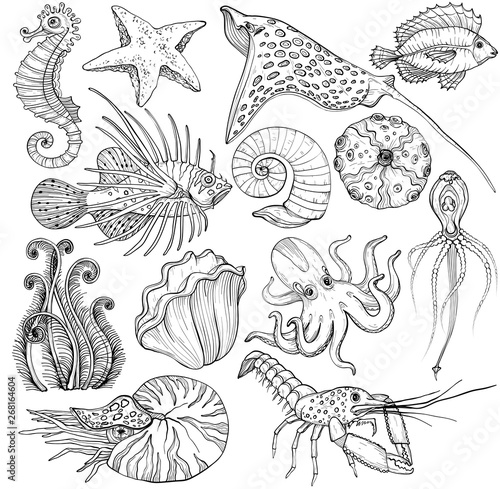 Set with hand drawn marine life.
