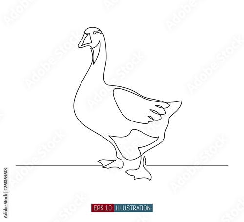 Continuous line drawing of goose. Template for your design works. Vector illustration.