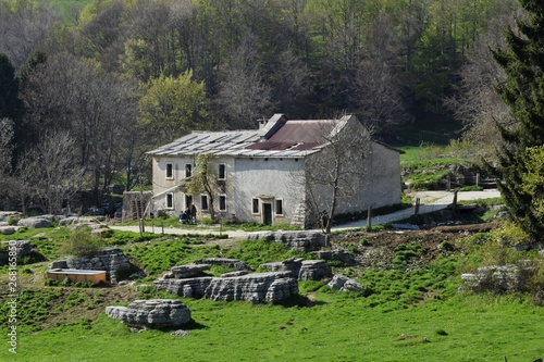 house
