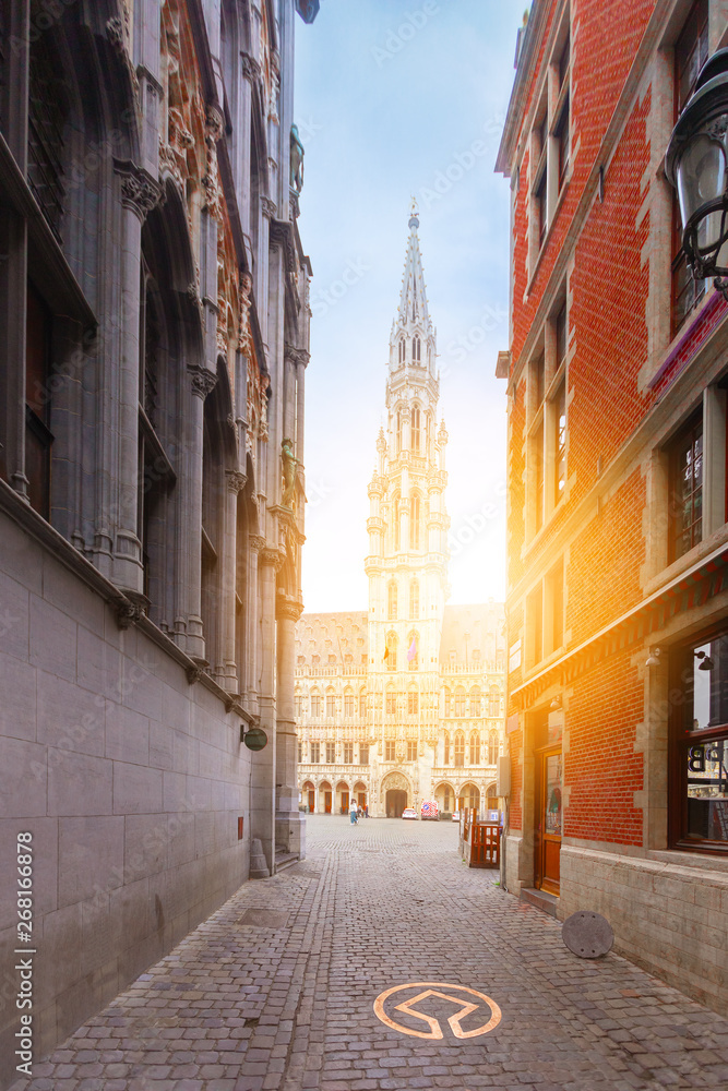 Obraz premium Grand Place square in Brussels, famous tourist destination, Belgium