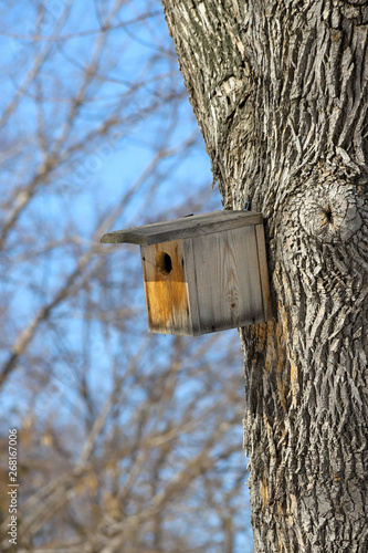 A wooden birdhouse affixed to a tree trunk
