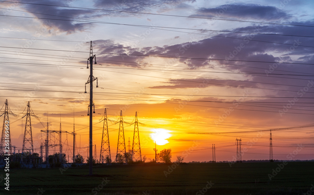 Fototapeta premium electric wires and towers at sunset.