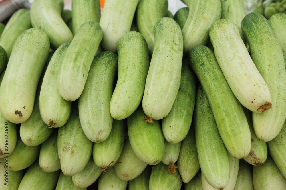 Fresh cucumbers for cooking in the market Fresh cucumbers for cooking in the market