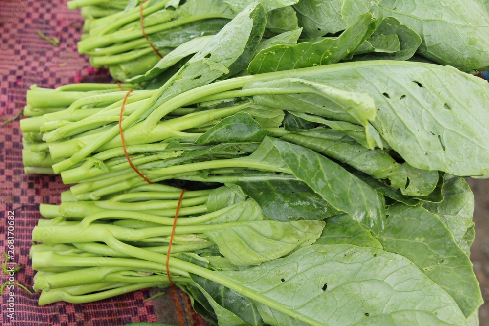 chinese kale for cooking at street food chinese kale for cooking at street food