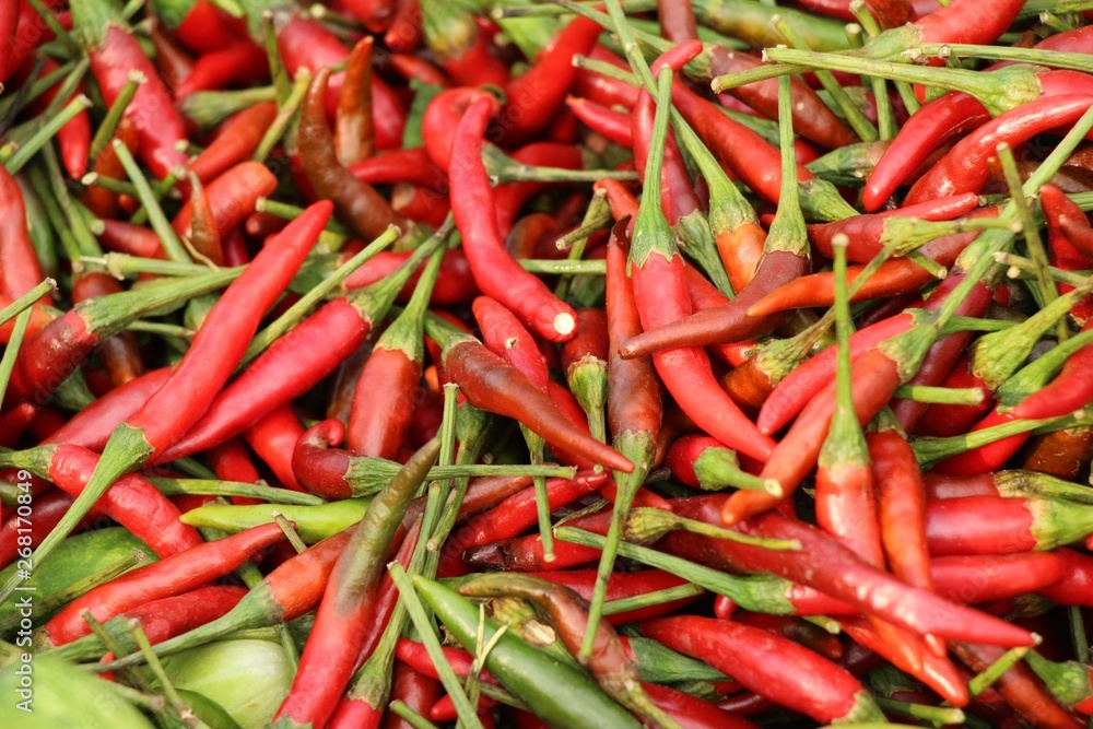 Fresh chilli for cooking at street food
