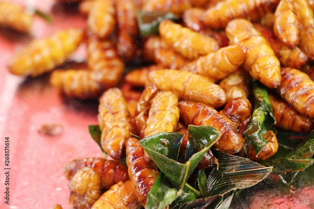 Fried silk worms delicious in street food Fried silk worms delicious in street food