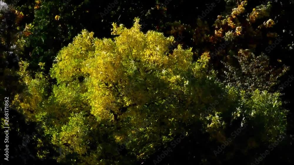 Autumnal Impressions from Goethe Park in Berlin-Wedding from September 29, 2015, Germany Autumnal Impressions from Goethe Park in Berlin-Wedding from September 29, 2015, Germany