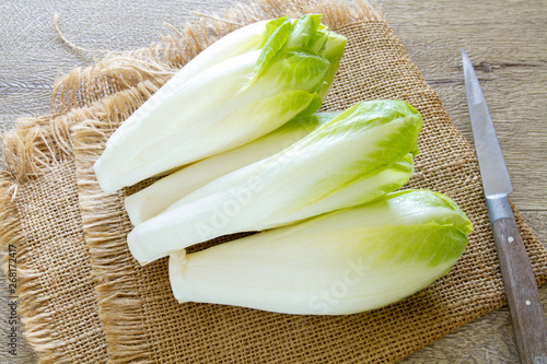Photos endives