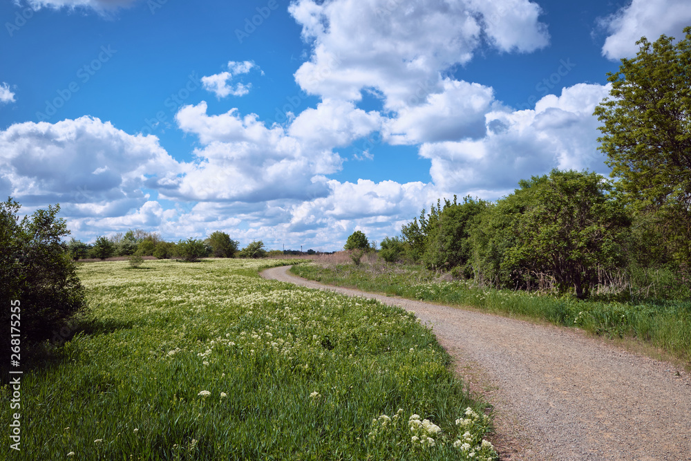 Wanderweg durch eine Frühlingslandschaft bei schönem Wetter Wanderweg durch eine Frühlingslandschaft bei schönem Wetter