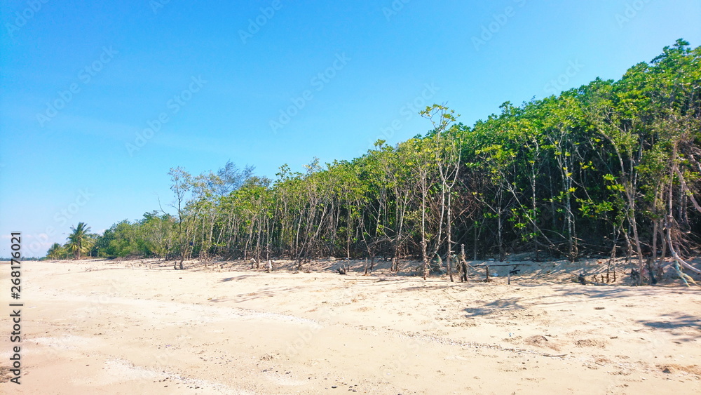sea sand sun sky summer