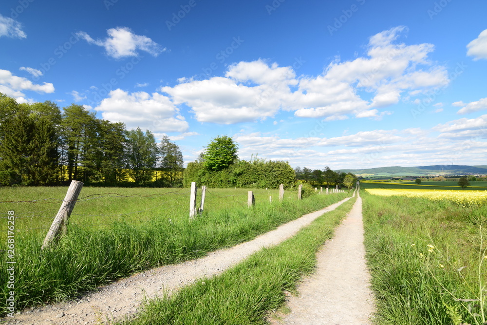 Frühlingslandschaft mit Feldweg und blühendem Raüsfeld Frühlingslandschaft mit Feldweg und blühendem Raüsfeld