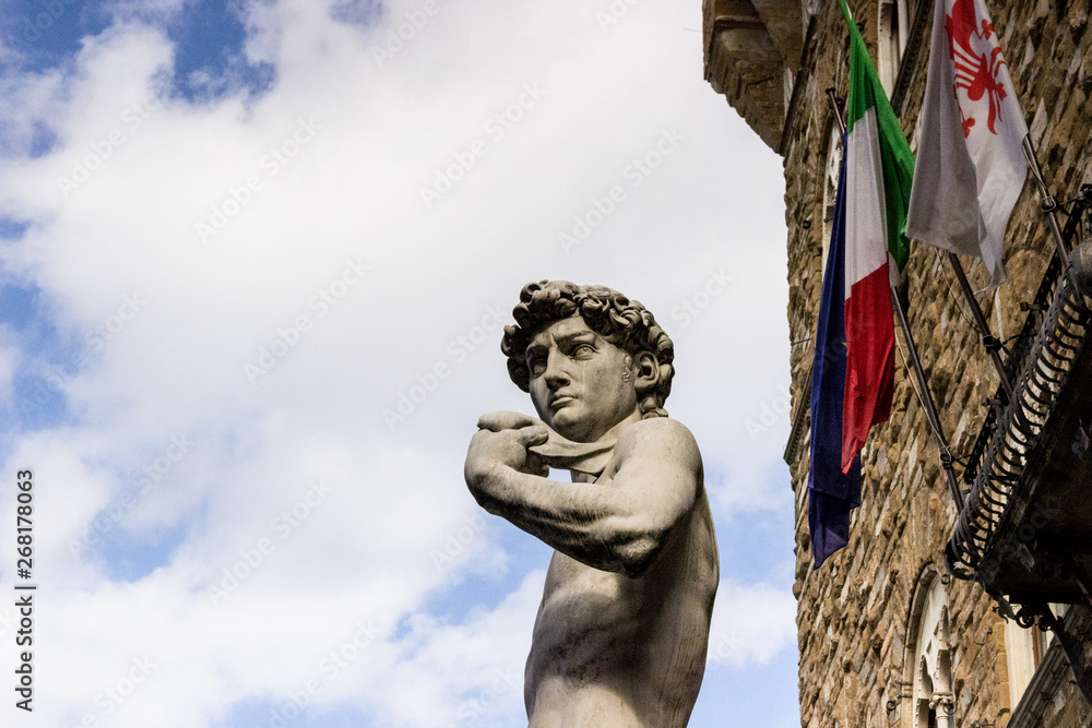 Fototapeta premium Copia David