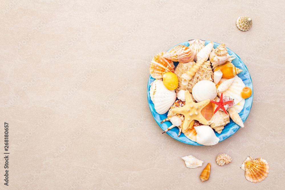 Seashells summer background Seashells summer background
