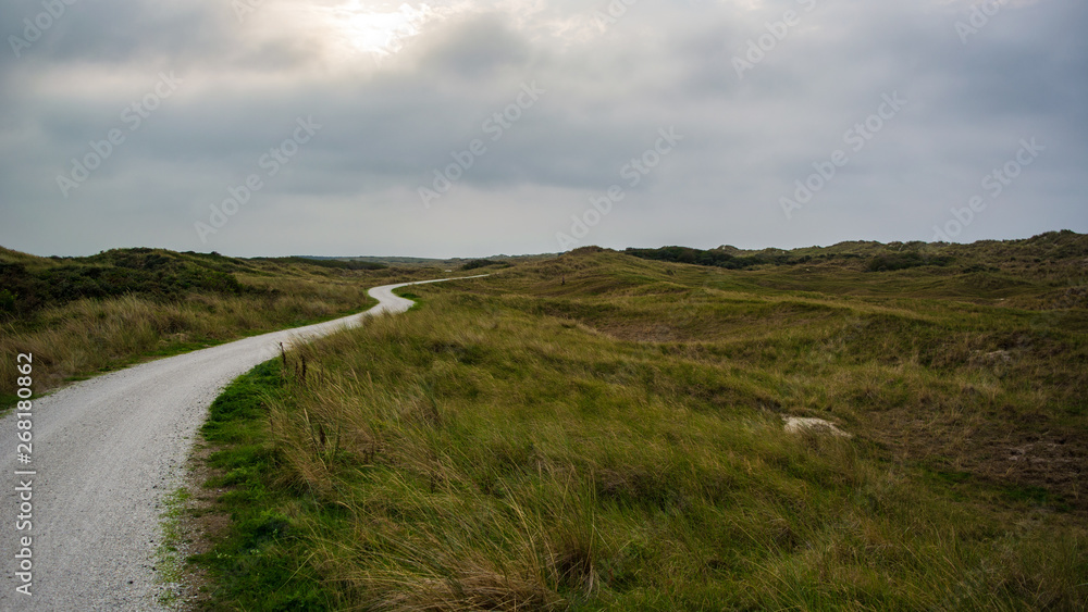 Bicycle path in a dune landscape, Ameland The Netherlands