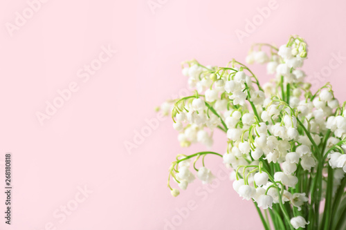 Beautiful lily of the valley flowers on color background, space for text