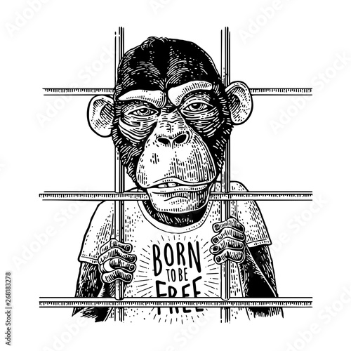 Arrested Monkey dressed t-shirt. Born to be free handwriting lettering.