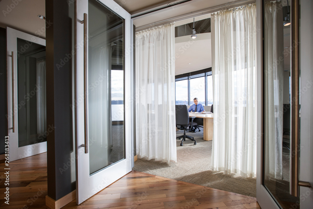 Executive in an office Executive in an office