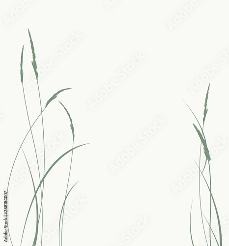 Vector illustration grass in a meadow, natural landscape background