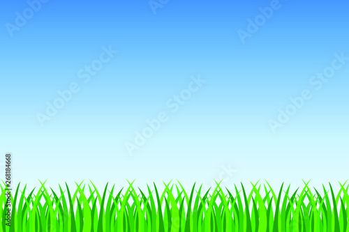 Background of green grass and blue sky vector illustration. Nature landscape
