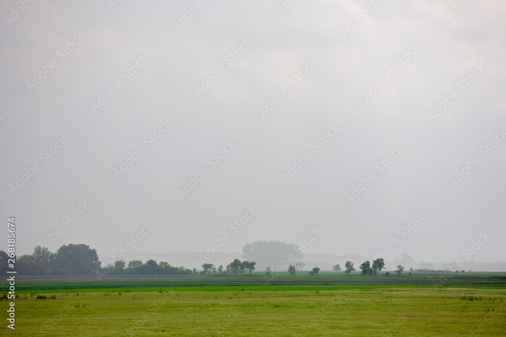 Misty rural scenery with meadows and groves