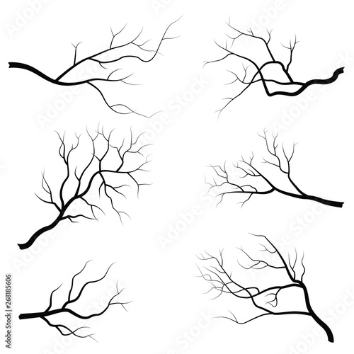 Tree branch vector illustration isolated on white background. Flat design