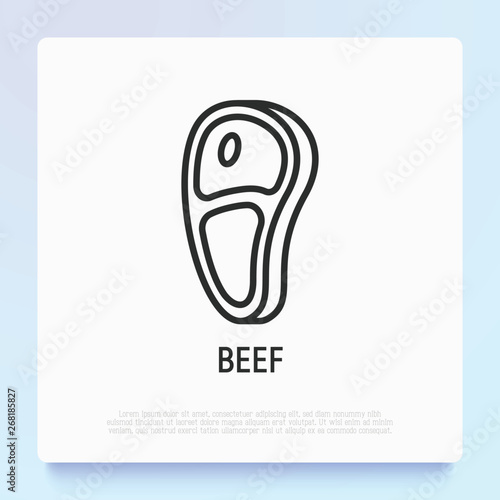 Raw beef steak thin line icon. Modern vector illustration of meat.