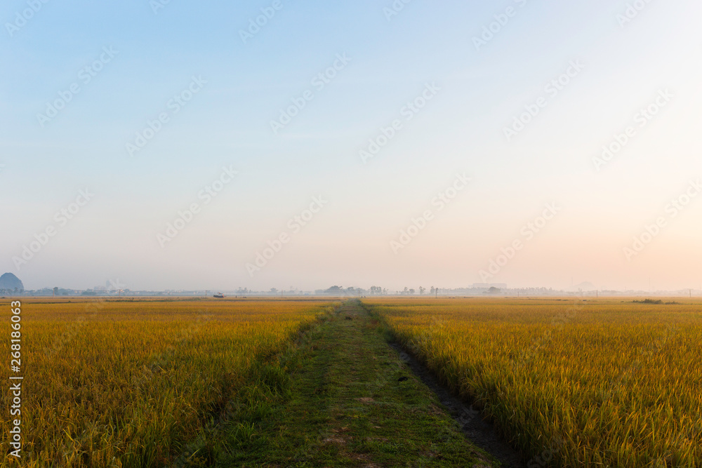 A road through a grass field in the countryside A road through a grass field in the countryside