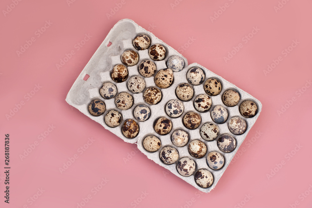 Quail eggs on pink background Quail eggs on pink background