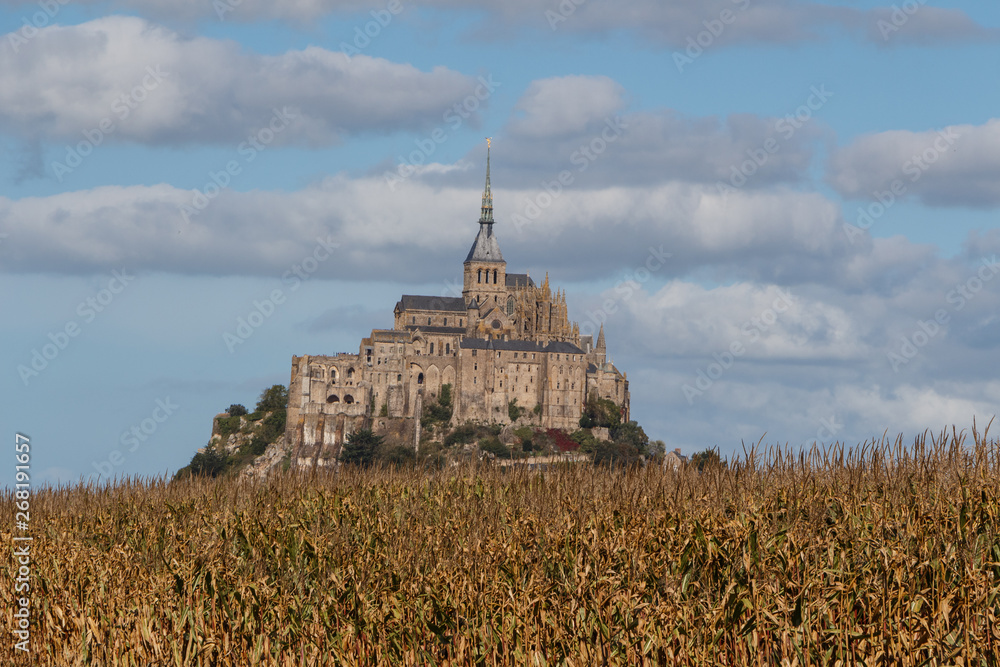 Field of corn in front of Mont Saint-Michel