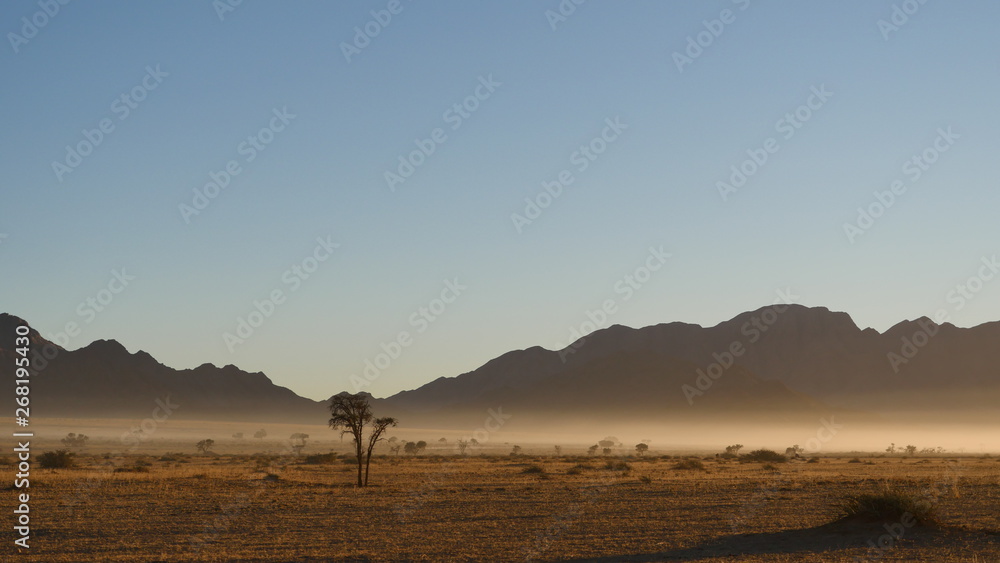 Bruma matinal en el desierto