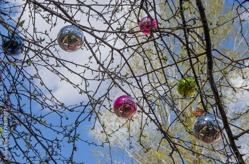 red berries in winter