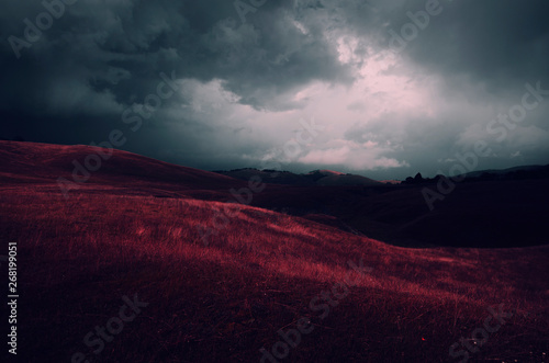 Surreal red meadow landscape photo