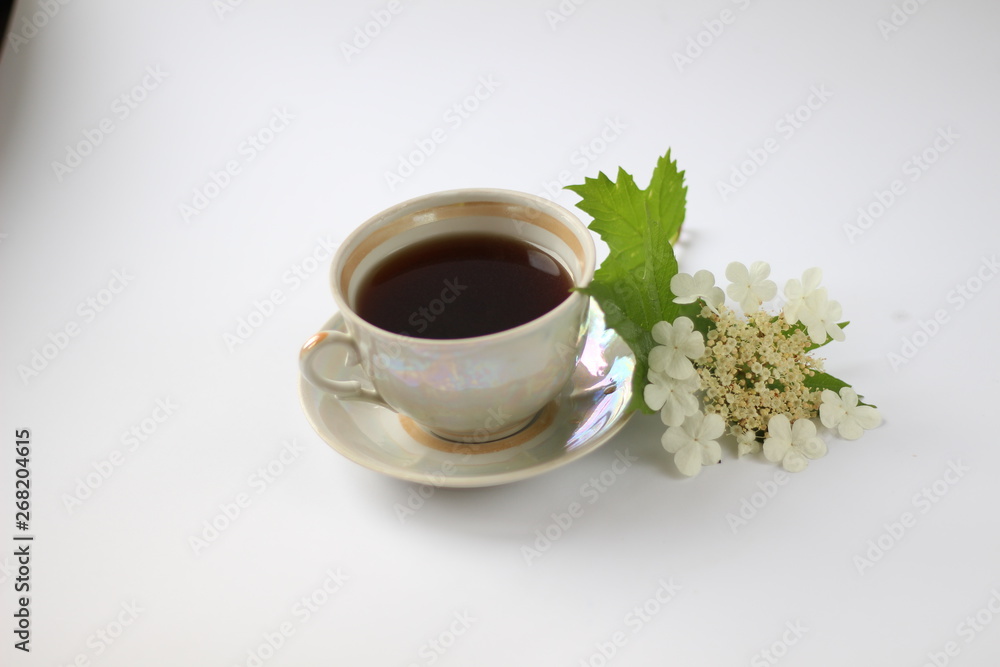 cup of coffee with a blooming sprig of viburnum cup of coffee with a blooming sprig of viburnum
