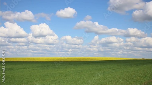 Cloud shadows on yellow rape fields. photo