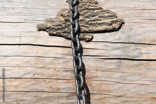 A black chain on a nearly barkless tree stump. photo