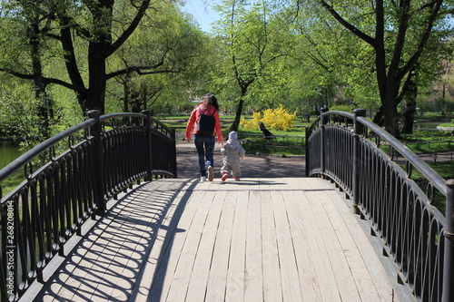 Wallpaper Mural park, forest, reflection, spring Torontodigital.ca