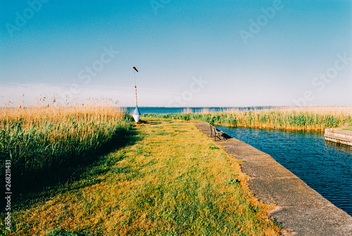 Early Morning Spring Sunshine on Grassy Baltic Sea Shore