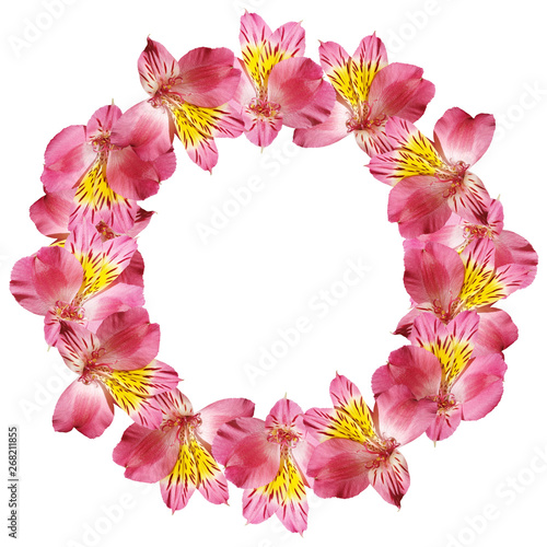 Beautiful floral circle of Alstroemeria. Isolated