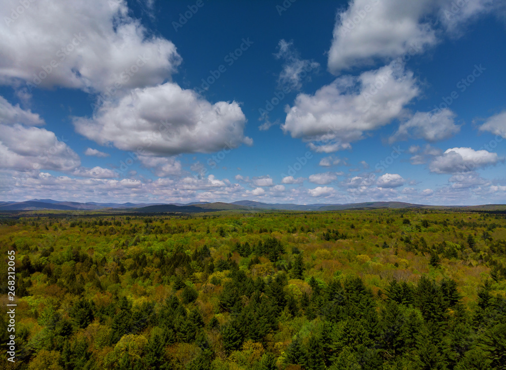 Pocono Mountains Pennsylvania landscape with green meadow and forest Pocono Mountains Pennsylvania landscape with green meadow and forest