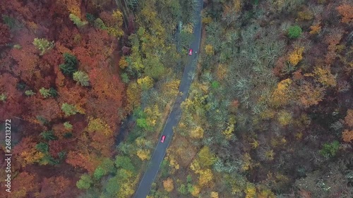 Autumn forest in the morning mist, following white car on road