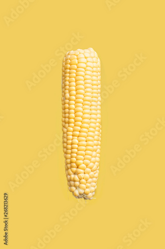 Corn photo