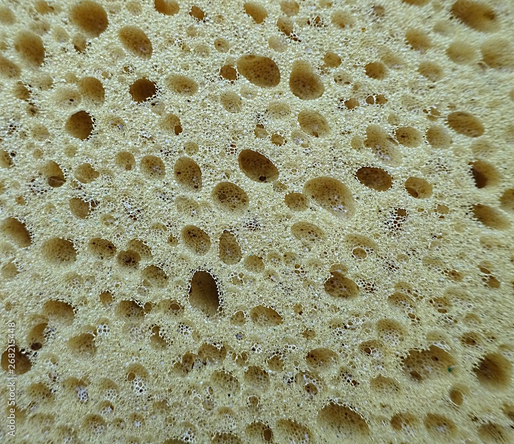 Close up soft sponge abstract texture surface background Close up soft sponge abstract texture surface background
