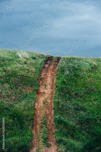 Road in the countryside