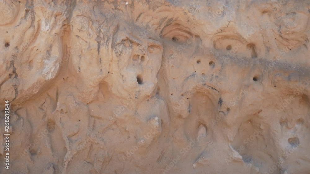 anthropomorphic sculptures in the rock in the Protected Marine Area of Torre Guaceto. Coastal and marine nature reserve with a defensive tower of the 16th century. Brindisi, Puglia (Apulia), Italy anthropomorphic sculptures in the rock in the Protected Marine Area of Torre Guaceto. Coastal and marine nature reserve with a defensive tower of the 16th century. Brindisi, Puglia (Apulia), Italy